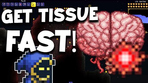 However, you may also find tissue samples by exploring the world. . Tissue sample terraria